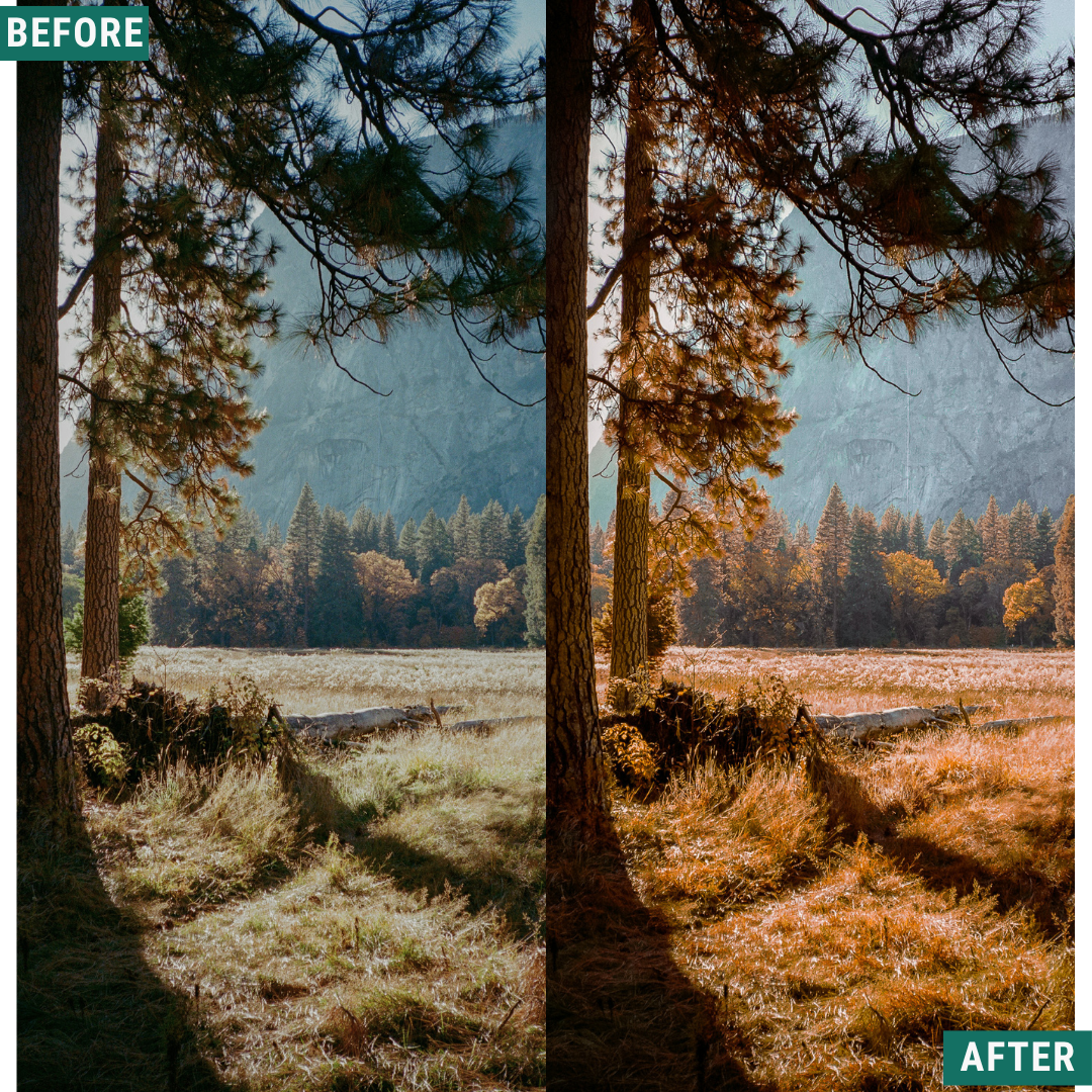 Rustic Dawn Lightroom Presets Pack
