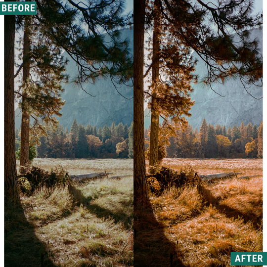 Rustic Dawn Lightroom Presets Pack