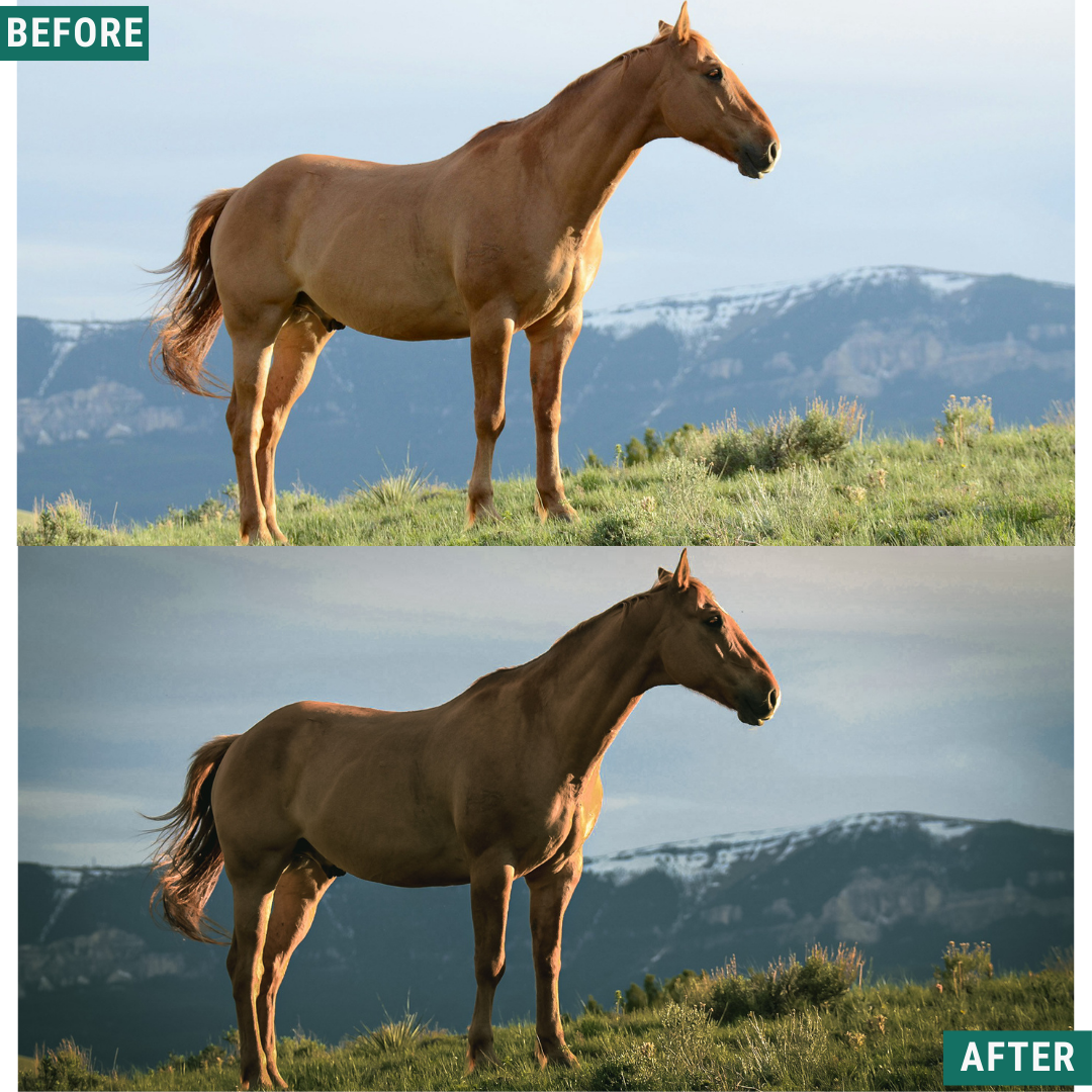 Vintage Valley LIMITED Lightroom Presets Pack