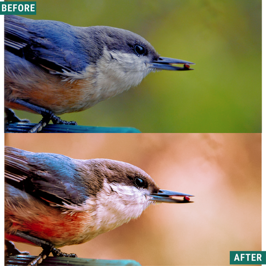 Macro Pink LIMITED Lightroom Presets Pack