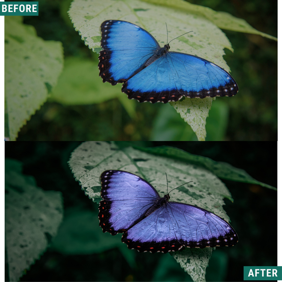 Deep Skies LIMITED Lightroom Presets Pack