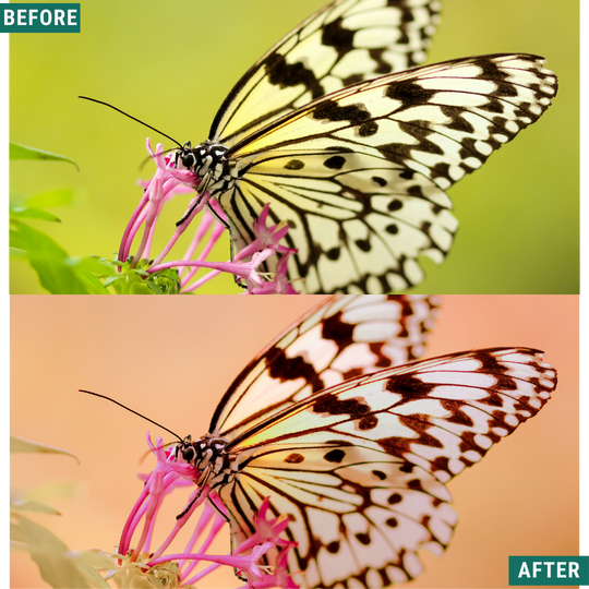 Macro Pink LIMITED Lightroom Presets Pack