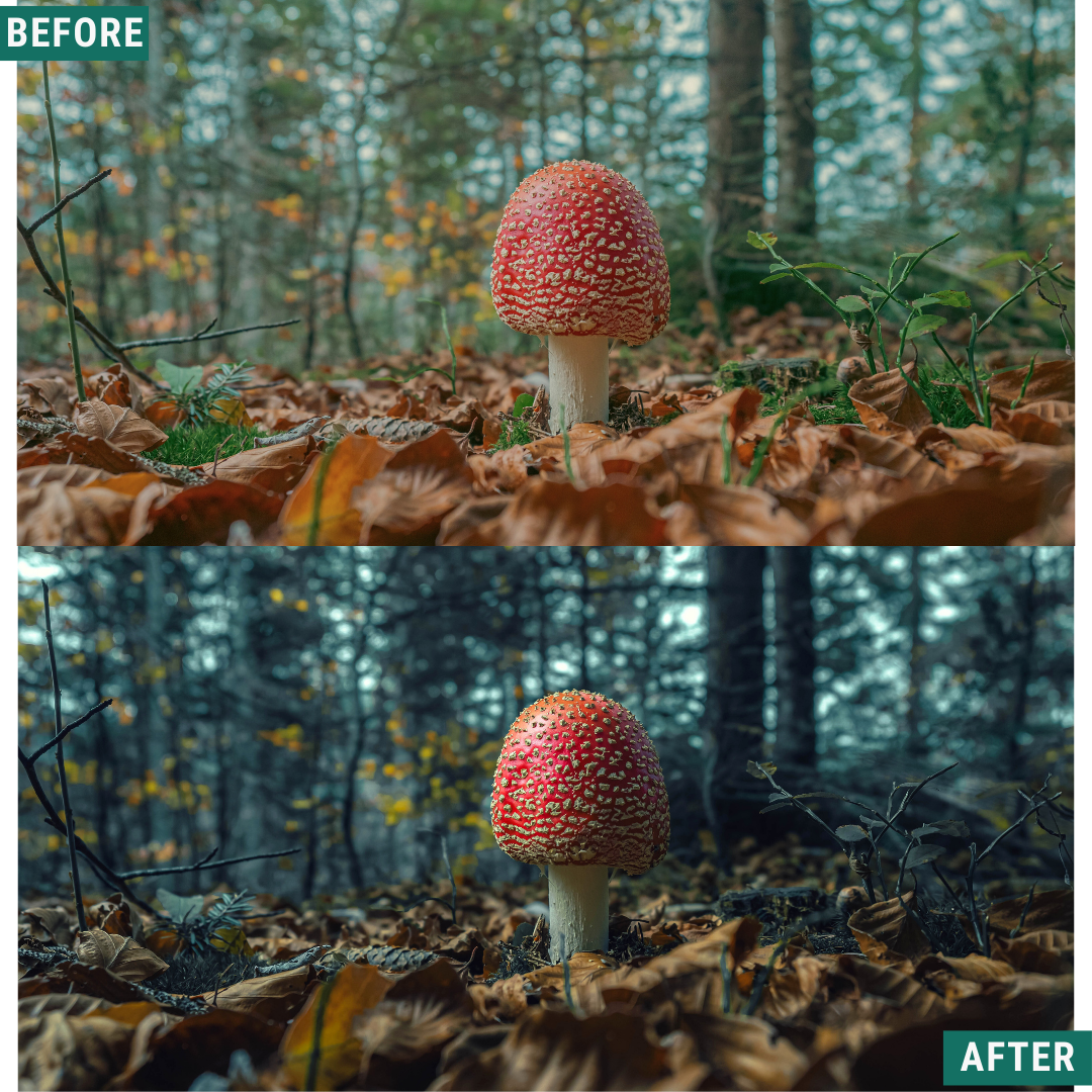 Wild Green Lightroom-Voreinstellungen-Paket