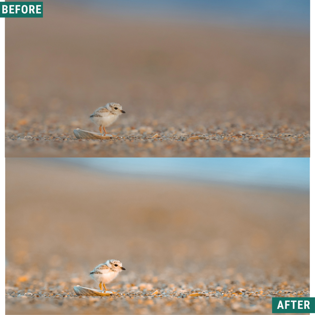 Rustic Dawn Lightroom Presets Pack