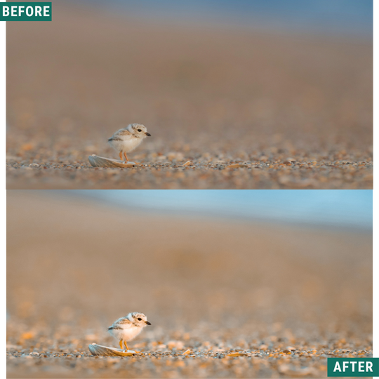 Rustic Dawn Lightroom Presets Pack