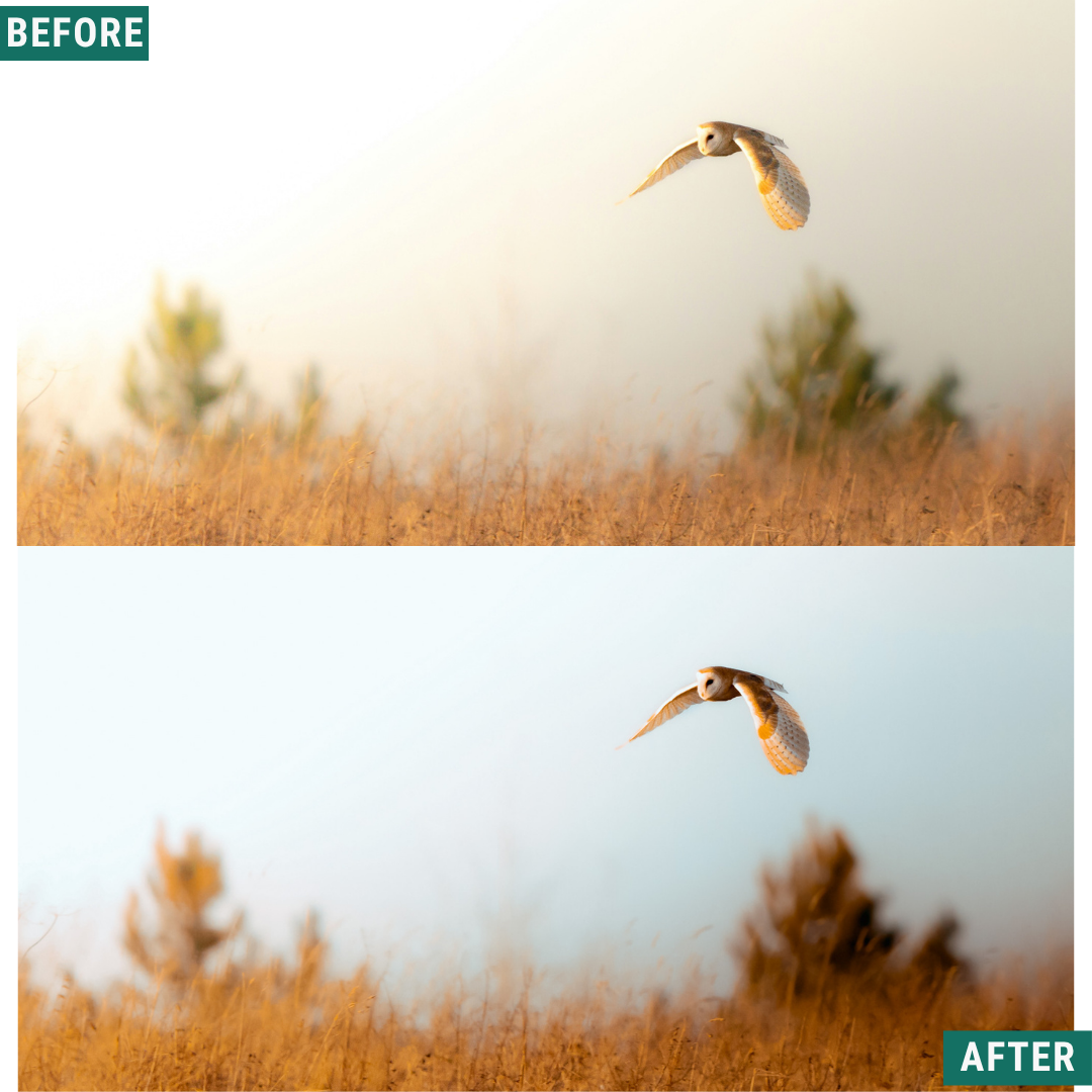 Rustic Dawn Lightroom Presets Pack