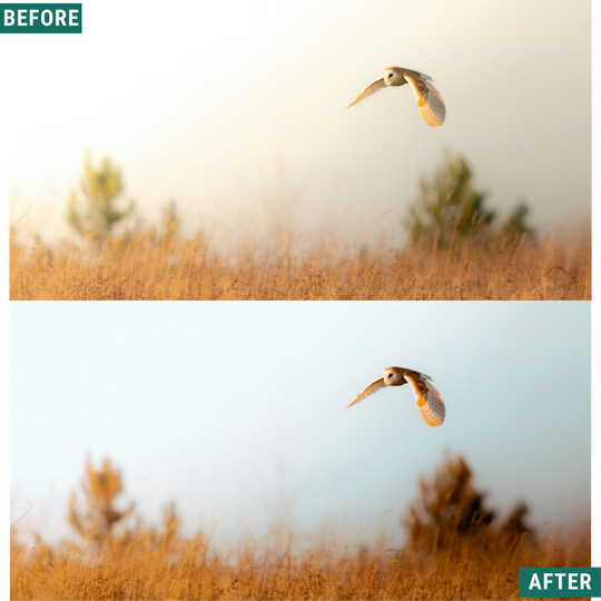 Rustic Dawn Lightroom Presets Pack