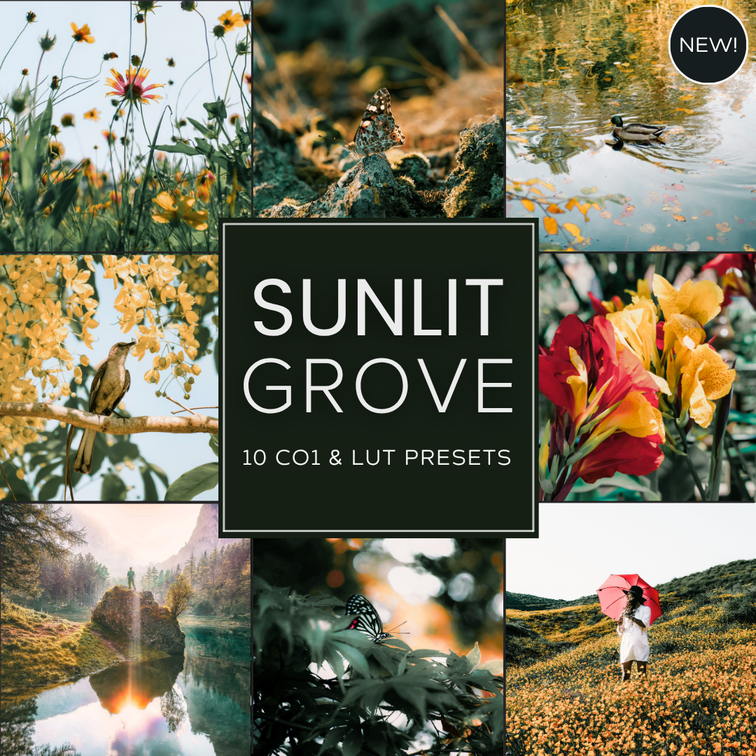 Sunlit Grove LIMITED Capture One & LUT Presets Pack