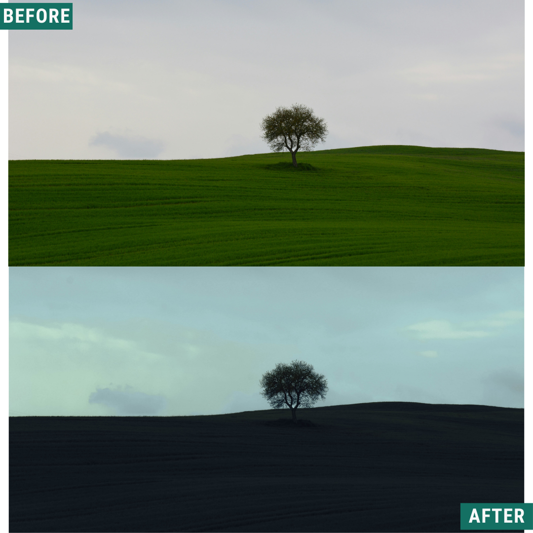 Wild Green Lightroom-Voreinstellungen-Paket