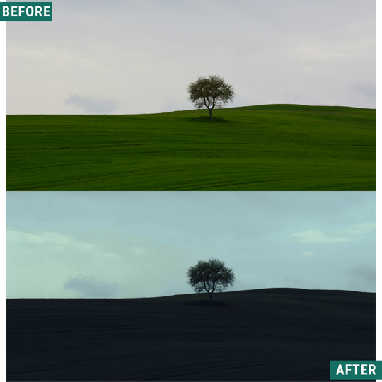 Wild Green Lightroom-Voreinstellungen-Paket