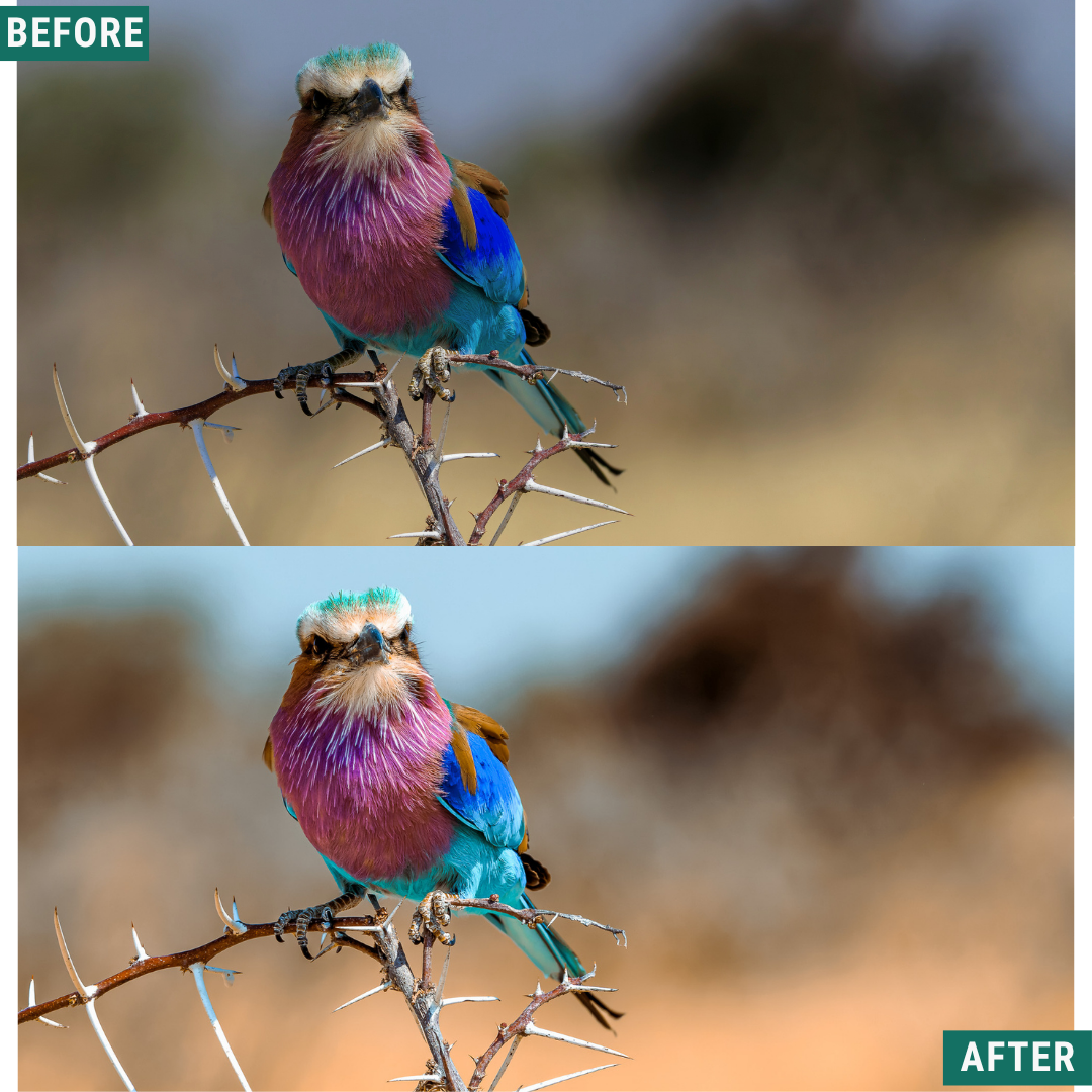 Rustic Dawn Lightroom Presets Pack