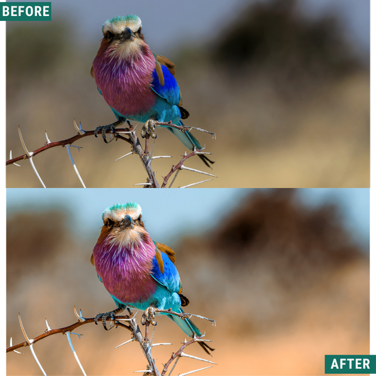 Rustic Dawn Lightroom Presets Pack