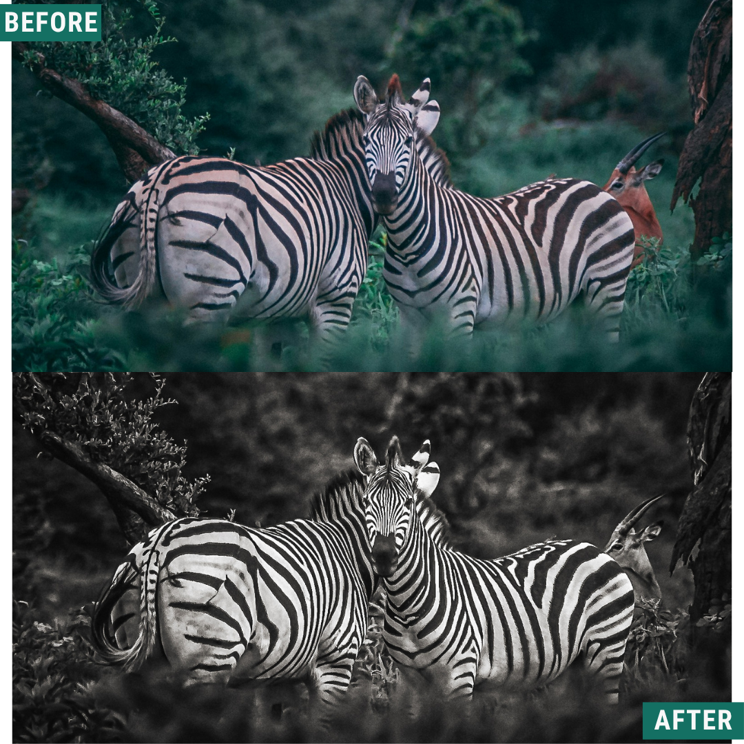 Mono Wild LIMITED Lightroom Presets Pack
