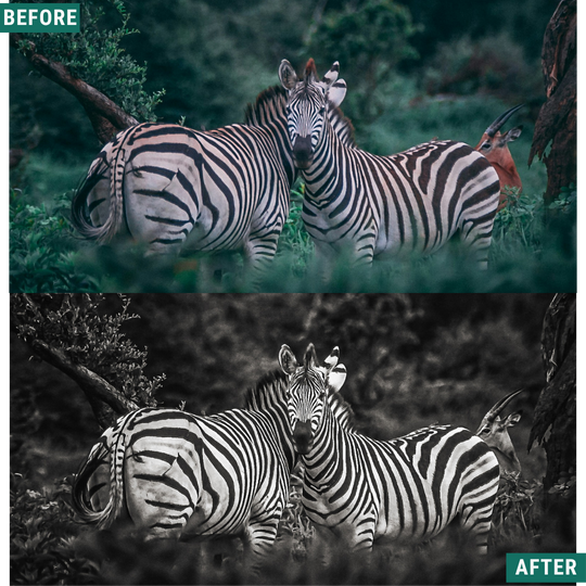 Mono Wild LIMITED Lightroom Presets Pack