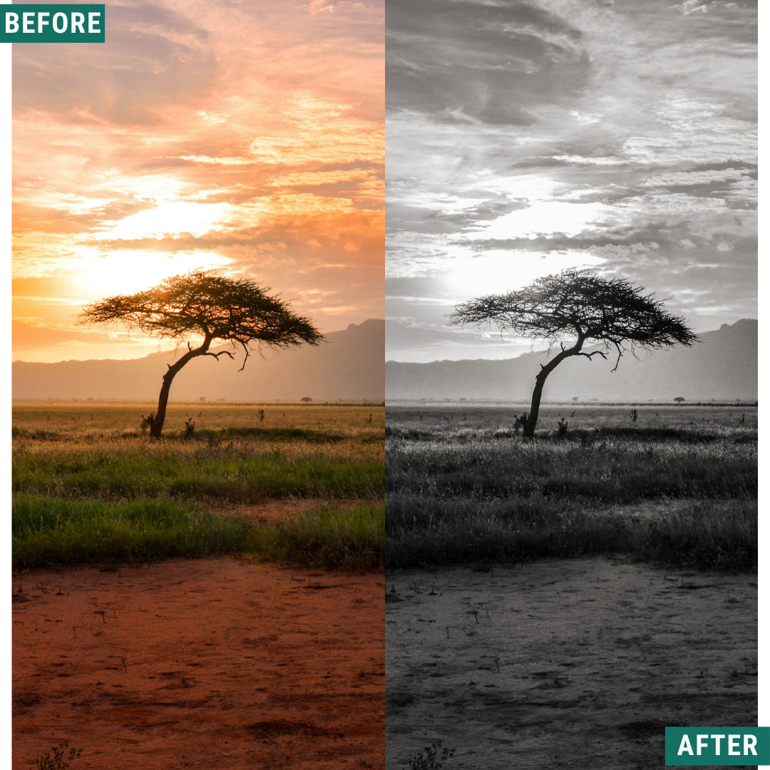 Mono Wild LIMITED Lightroom Presets Pack
