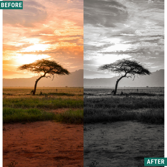 Mono Wild LIMITED Lightroom Presets Pack