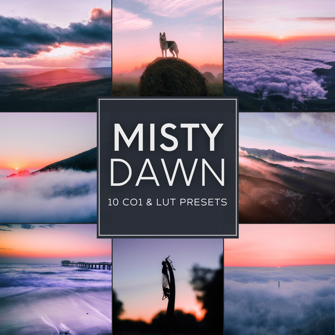 Misty Dawn LIMITED Capture One & LUT Presets Pack