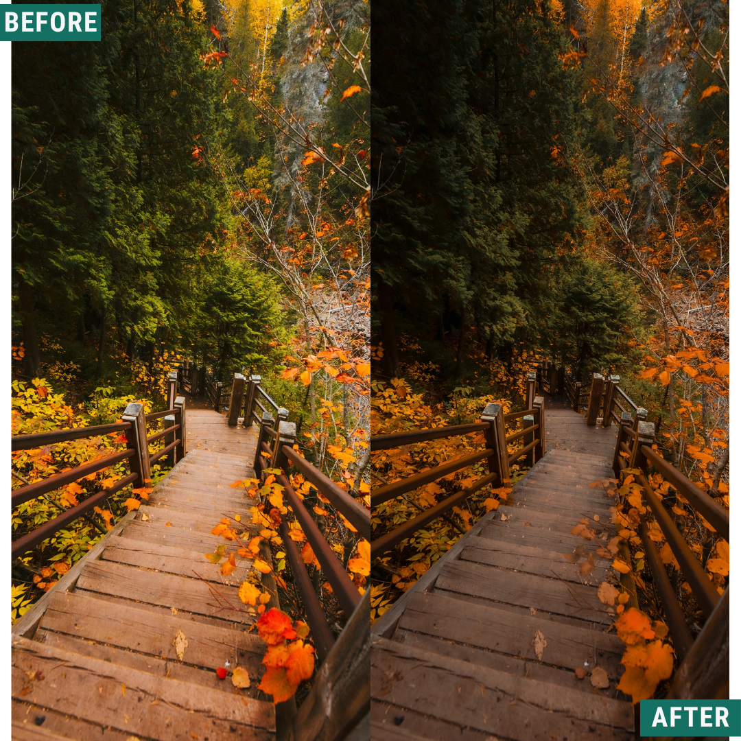 Rose Hour LIMITIERTES Lightroom-Presets-Paket
