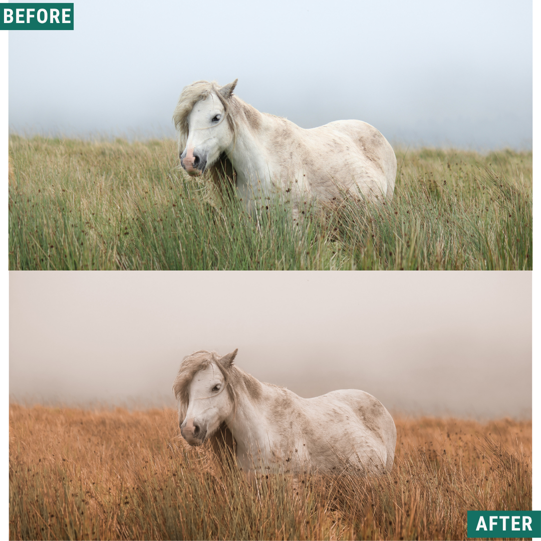 Gold Fields Lightroom Presets Pack