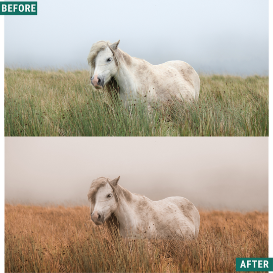 Gold Fields Lightroom Presets Pack