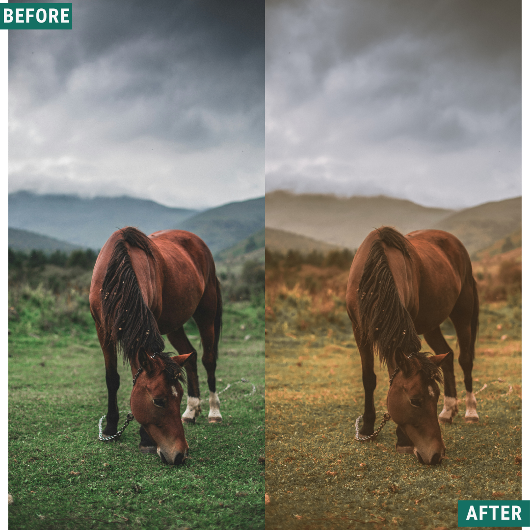 Gold Fields Lightroom Presets Pack