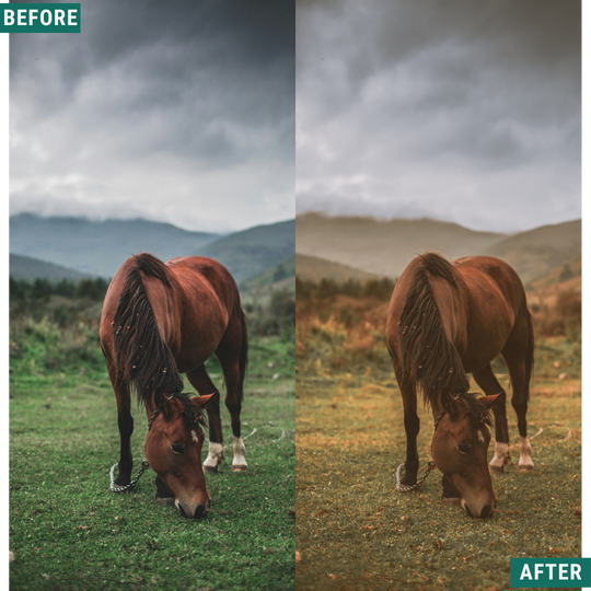 Gold Fields Lightroom Presets Pack
