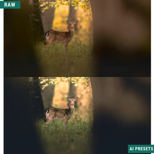 Fall AI Color Lightroom Toolkit