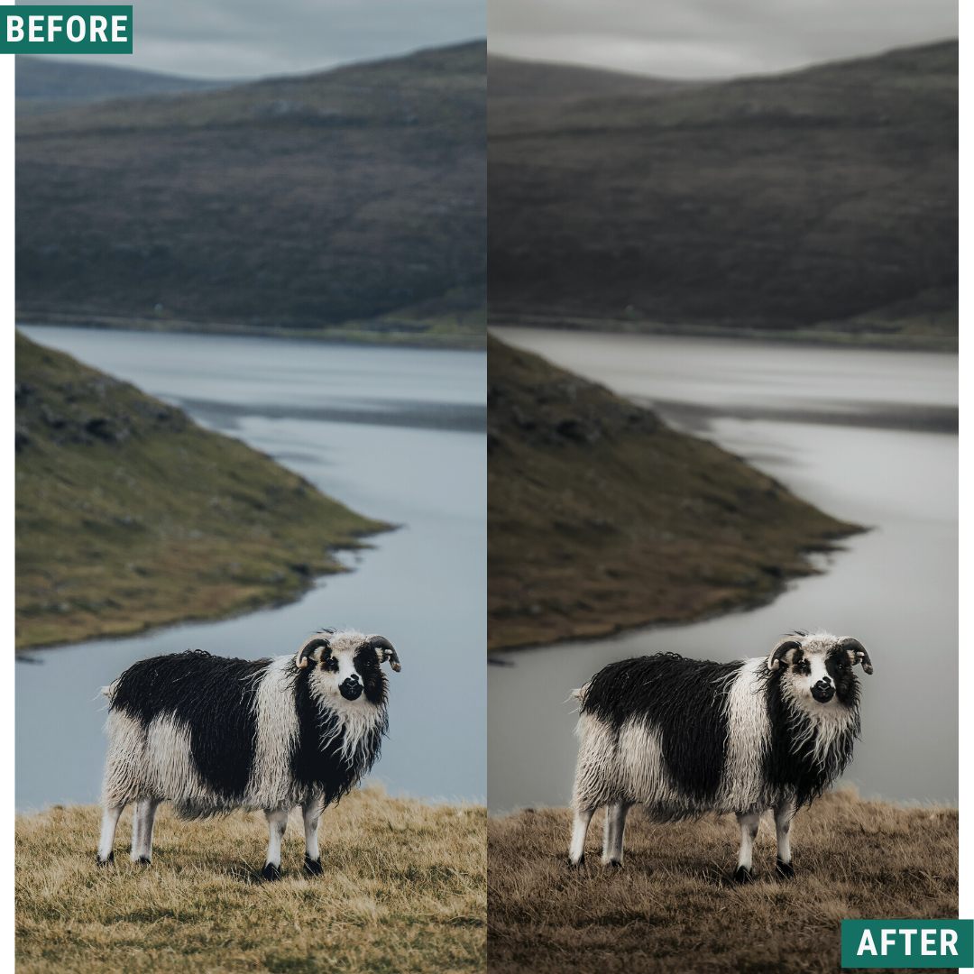 Dramatic Tones Capture One & LUT Presets Pack