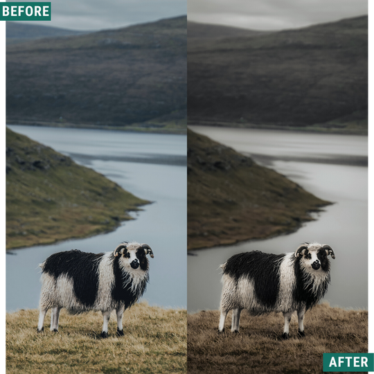 Dramatic Tones Capture One & LUT Presets Pack