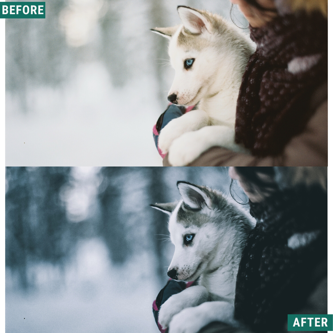 Cold Tones LIMITED Capture One & LUT Presets Pack