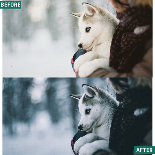 Cold Tones LIMITED Capture One & LUT Presets Pack