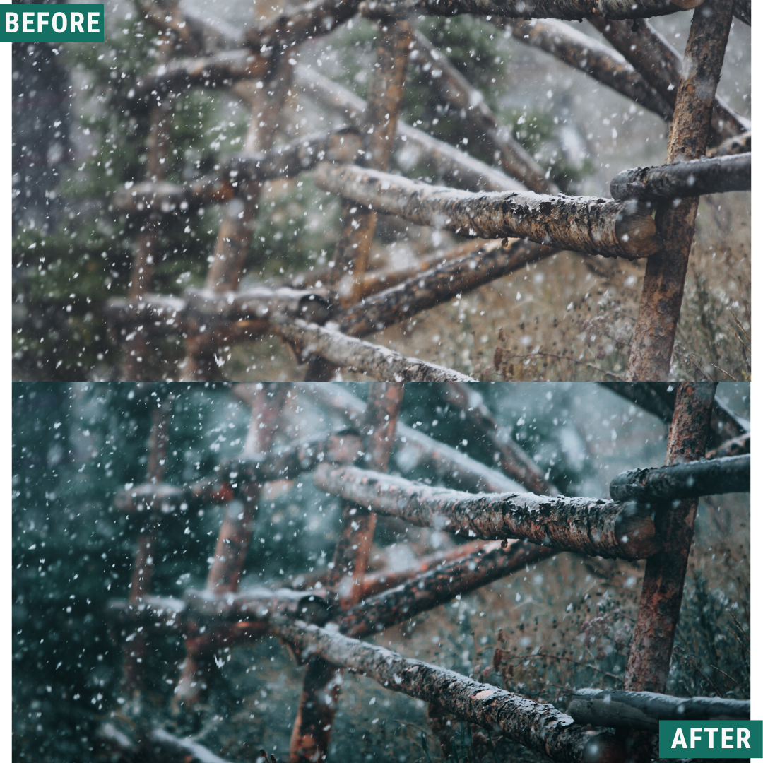 Festive Tones Capture One & LUT Presets Pack