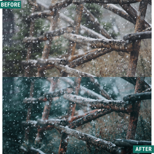 Festive Tones Capture One & LUT Presets Pack