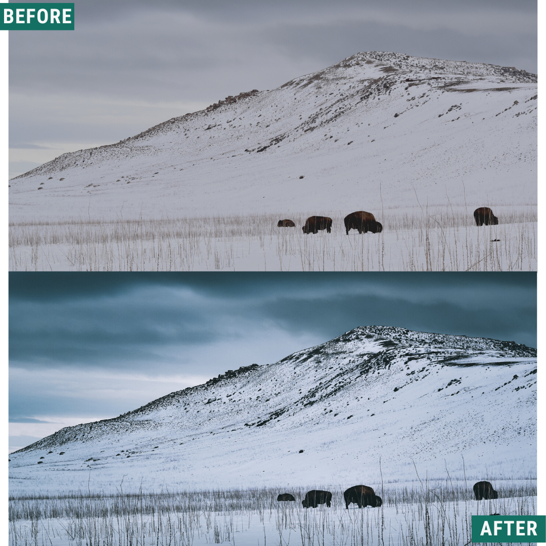 Cold Tones LIMITED Capture One & LUT Presets Pack