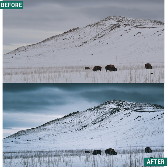 Cold Tones LIMITED Capture One & LUT Presets Pack