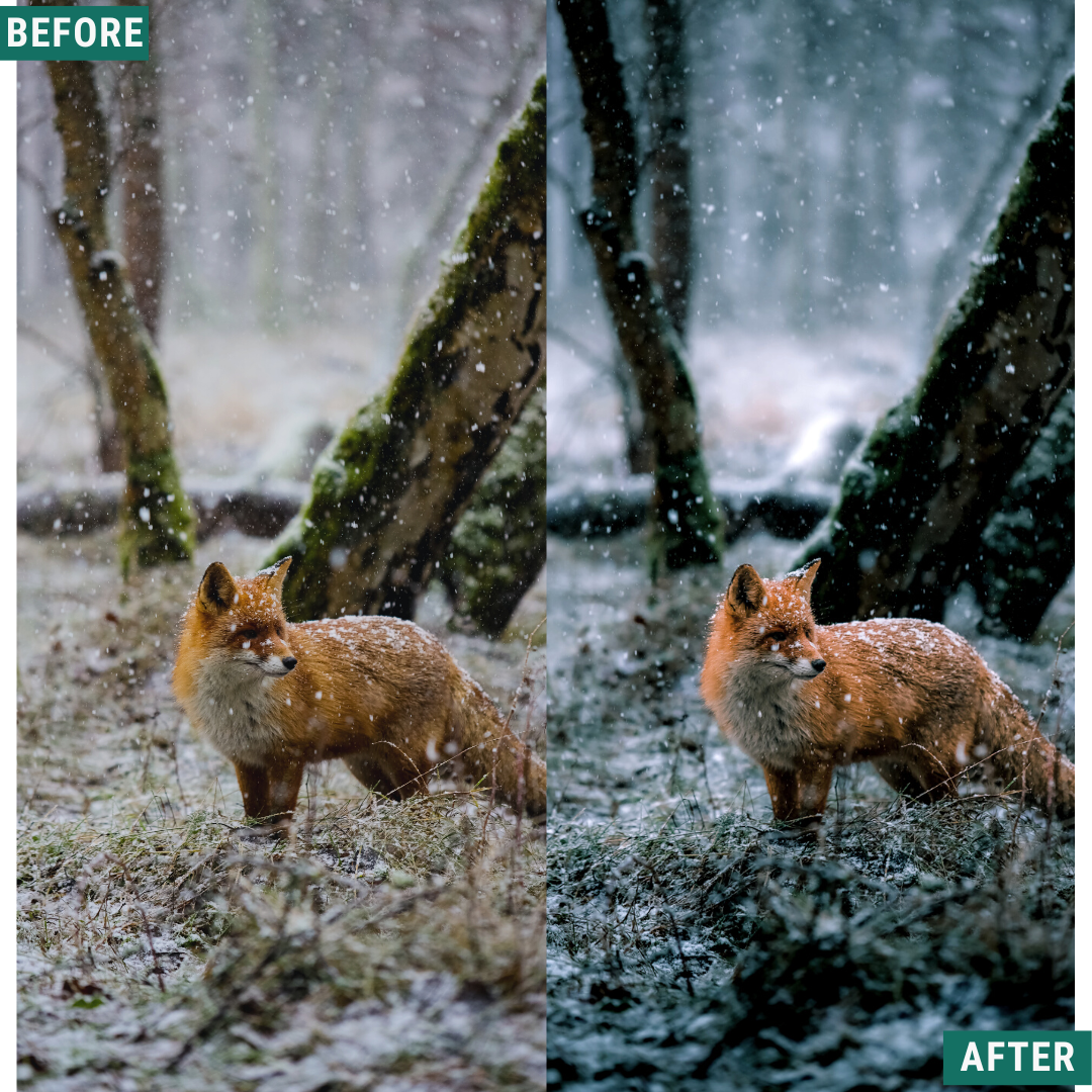 Cold Tones LIMITED Capture One & LUT Presets Pack