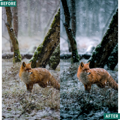 Cold Tones LIMITED Capture One & LUT Presets Pack