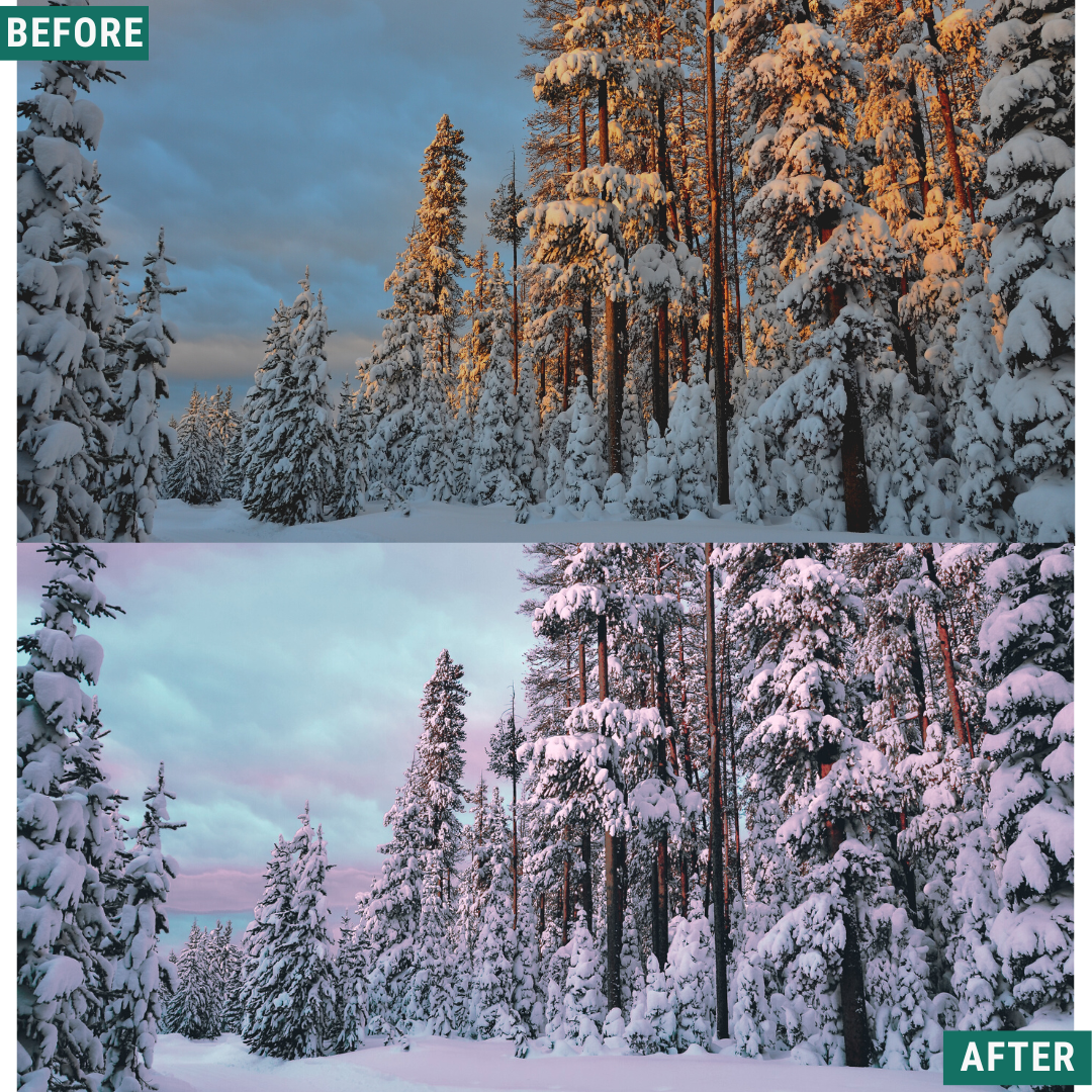 Winter Dawn Capture One & LUT Presets Pack