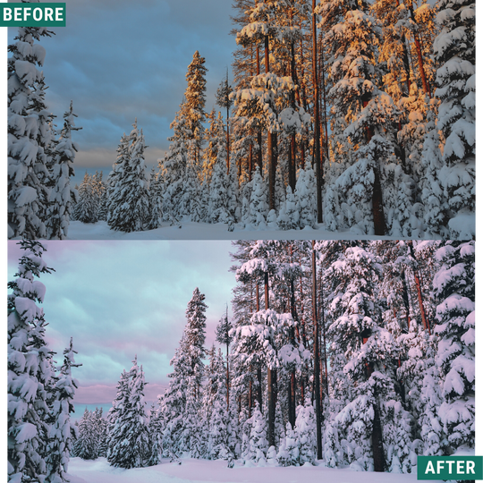 Winter Dawn Capture One & LUT Presets Pack