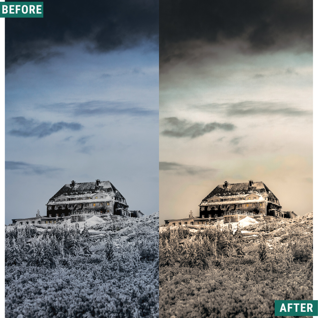 Rustic Winter LIMITED Capture One & LUT Presets Pack