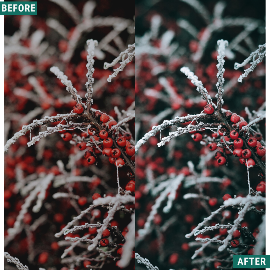 Festive Tones Capture One & LUT Presets Pack