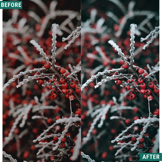 Festive Tones Capture One & LUT Presets Pack