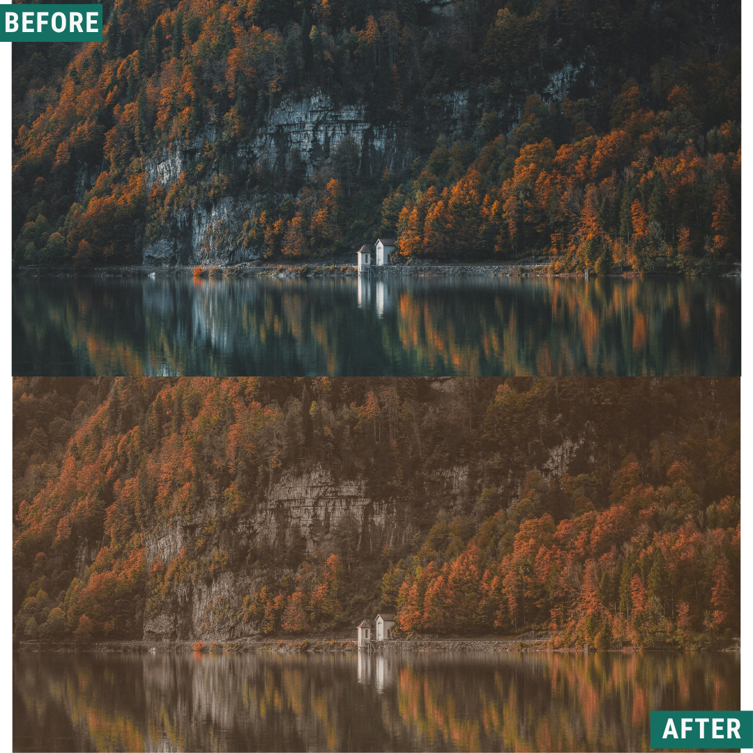 Gold Fields Lightroom Presets Pack