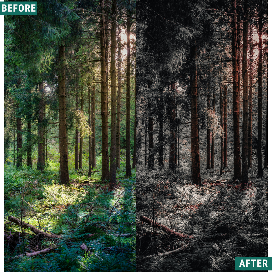 Muted Brown LIMITED Lightroom Presets Pack