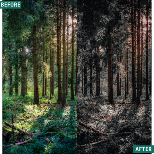 Muted Brown LIMITED Lightroom Presets Pack