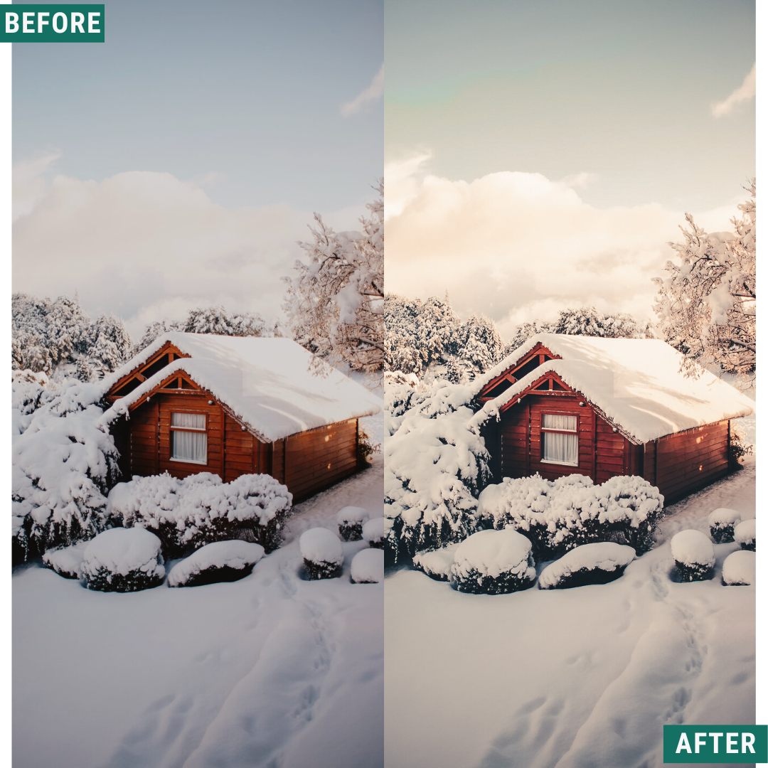 Rustic Winter LIMITED Capture One & LUT Presets Pack