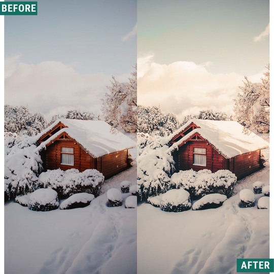 Rustic Winter LIMITED Capture One & LUT Presets Pack