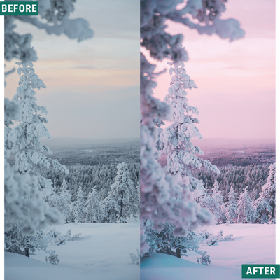 Winter Dawn Capture One & LUT Presets Pack