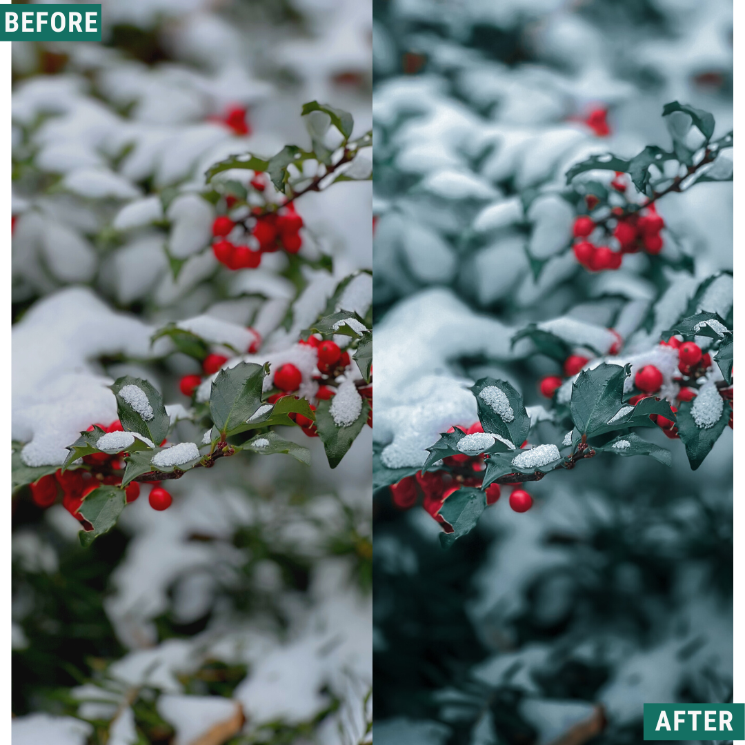 Festive Tones Capture One & LUT Presets Pack