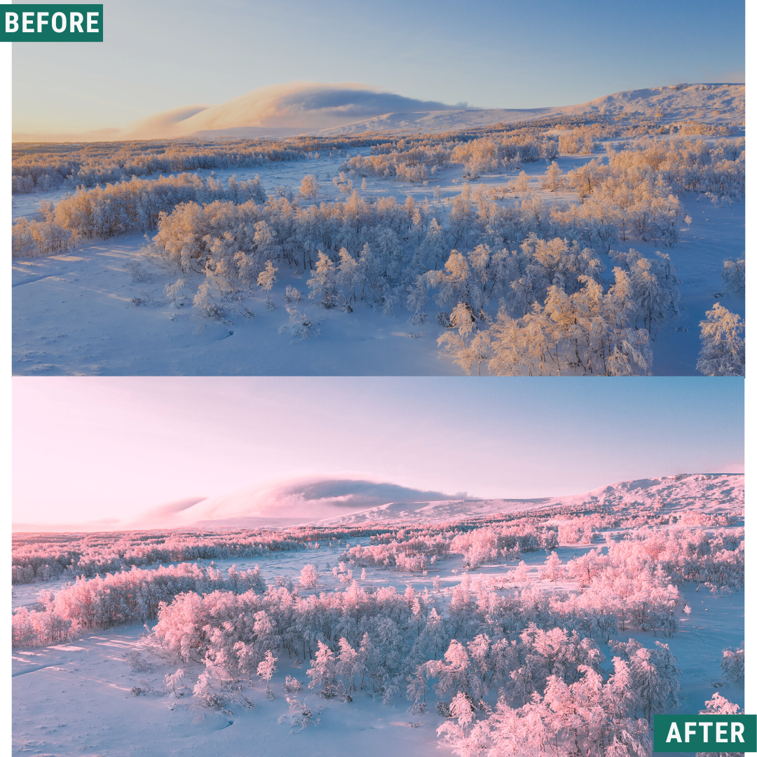 Winter Dawn Capture One & LUT Presets Pack